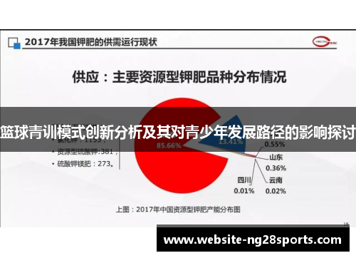 篮球青训模式创新分析及其对青少年发展路径的影响探讨