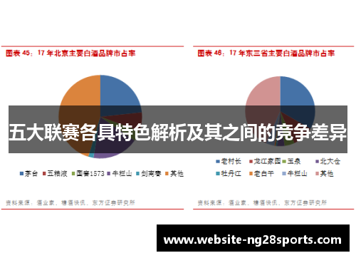 五大联赛各具特色解析及其之间的竞争差异 五大联赛各具特色解析及其之间的竞争差异