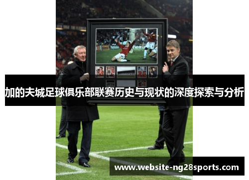 加的夫城足球俱乐部联赛历史与现状的深度探索与分析