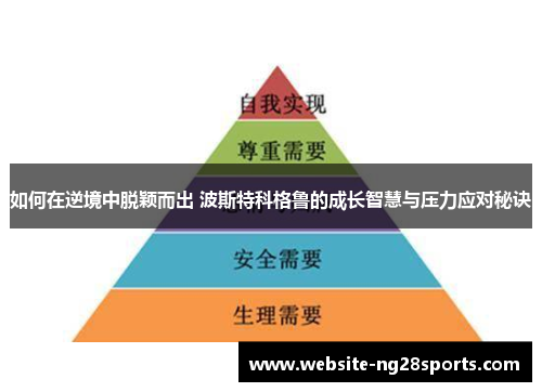 如何在逆境中脱颖而出 波斯特科格鲁的成长智慧与压力应对秘诀