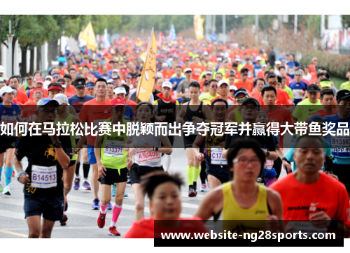 如何在马拉松比赛中脱颖而出争夺冠军并赢得大带鱼奖品