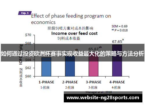 如何通过投资欧洲杯赛事实现收益最大化的策略与方法分析 如何通过投资欧洲杯赛事实现收益最大化的策略与方法分析