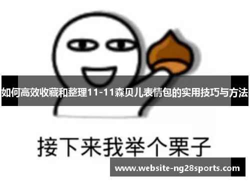 如何高效收藏和整理11-11森贝儿表情包的实用技巧与方法