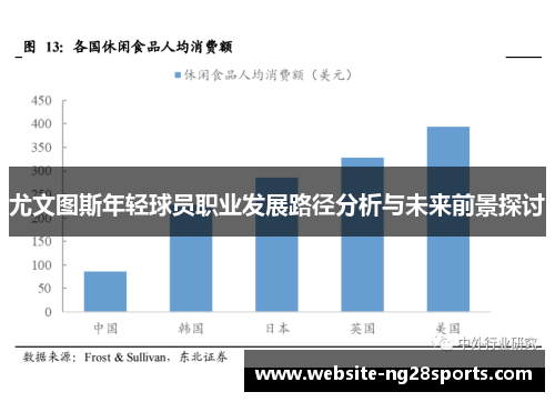 尤文图斯年轻球员职业发展路径分析与未来前景探讨